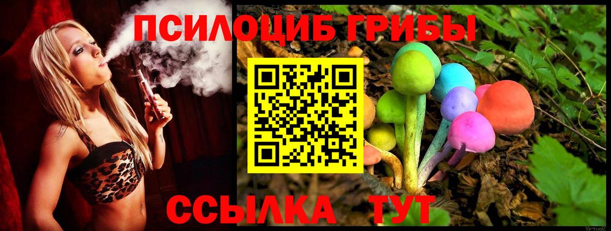 Галлюциногенные грибы Psilocybine cubensis Бийск