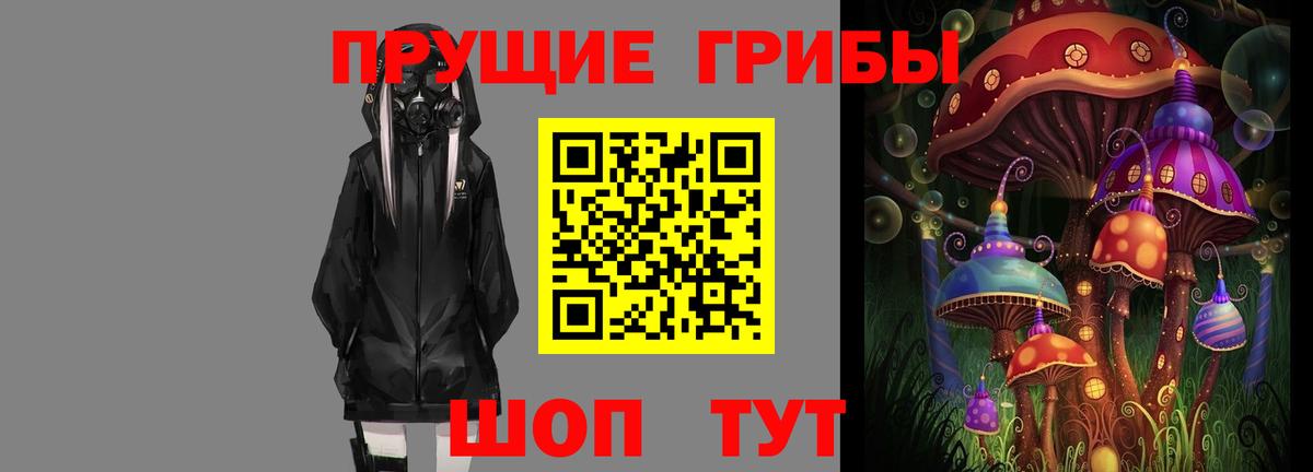 купить закладку  Псилоцибиновые грибы прущие грибы  Вход с VPN  Бийск 