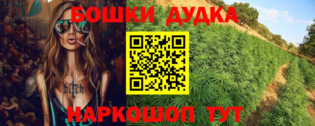 Конопля сатива Бийск